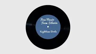 Iwproduction. Nighttime Birds (jazz electronic soundtrack ambient atmospheric piano)