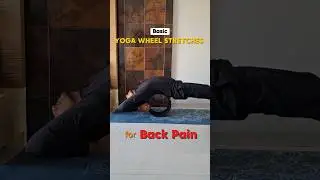 Best Yoga Wheel Stretches For Back Pain | Basic - Advance Part 1