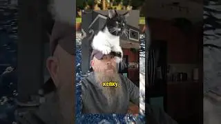 ВИРУСНЫЕ ВИДЕО / Кепка со встроенным котом 😂