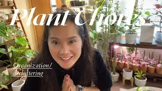 Plant Chores + Decluttering  and Organization