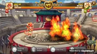 Gameplay of kung fu pet  or how to play and how to fight in kung fu pets