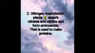 Nitrogen cycle in plants|@bhoiteclasseseasyfasttrain3055 Biogeochemical cycle#10thscience