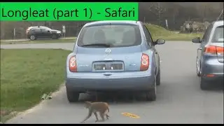 Longleat (part 1) - Safari