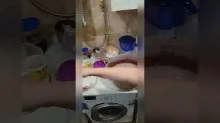 Миссия засрать кухню 