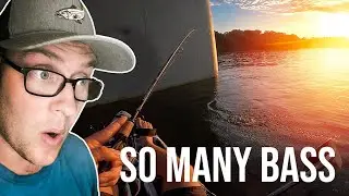 Crazy bass blitz (Boone Lake)