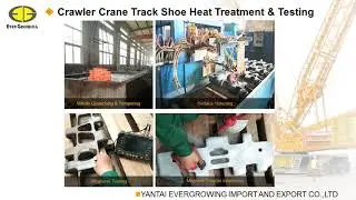 Ruston Bucyrus Crane Shoes.