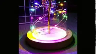 Galaxy Enchanted Eternity Eternal Forever Rose