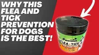 Review of Flea and Tick Prevention for Dogs