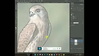 How to make a Falcon line art Design with Illustrator