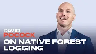 David Pocock - 9 September 2024 - on native forest logging