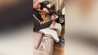 Man Finds Dog Missing for 8 Years During Cross-Country Move