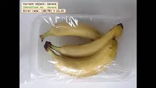 Fruit classification using Deep Learning
