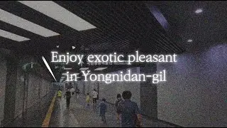 [Show Seoul] Enjoy exotic pleasant in Yongnidan-gil