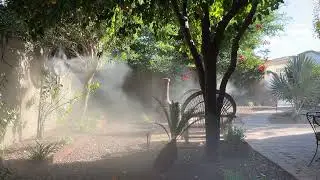 A Desert Jungle With Help Of A Misting System In Phoenix