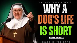 Why Did God Give Dogs to Humans | Mother Angelica Inspired Inspirational Video