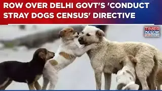 Delhi Govt Orders Census Of Stray Dogs In National Capital, Teachers Oppose Move | Breaking News