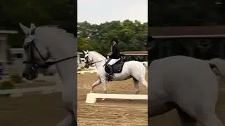 Kittys and my first time at regionals doing 1st level test 3 