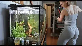 Gave My 75G a FULL Makeover + Added New Fish!