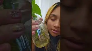 #plants #houseplants #indoorplants #garden #plantlover #leafmealone #retnasplants
