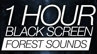 1 Hour Rainforest Rain Sounds For Sleeping (Black Scree) - Relaxing Nature Sounds, Tropical Jungle