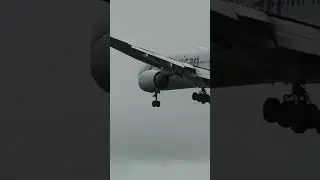 American Airlines B777-200 landing at Dublin Airport #planespotting #aviation #shorts