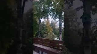 When it snows in September&hellip;😱 #alaska #alaskan #alaskalife #snow #alaskawinter