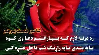 یتیمہ فلار دی شہید شوی۔ او کہ مور دی نشتہ ۔۔‛‛