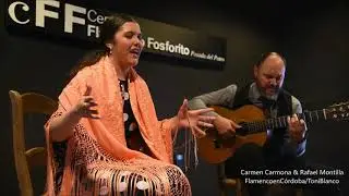 Carmen Carmona, Posada del Potro, Centro Flamenco Fosforito, C&oacute;rdoba
