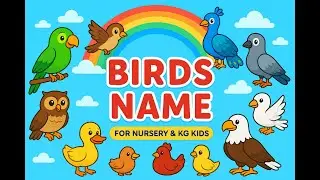 Birds Name with Spelling | Learn Birds for Kids | Nursery & KG Learning Video