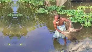 Amazing Fishing by Hardworking Fisherman - Traditional Fishing Video - Village Fishing Video