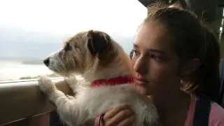 Take your dog on the train