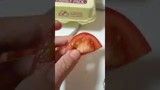 Ethylene 1 MAP Tomato tainting to appear ripen 2018