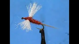 Beginner Fly Tying a Rusty Spinner with Jim Misiura