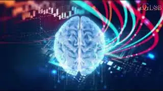 A third path to explain consciousness  Biological computationalism 