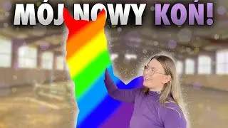 VLOG #307 | KUPIŁAM DRUGIEGO KONIA