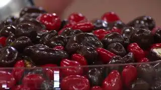Squirrel Brand (3) 16-oz Tins Dark Chocolate Crancherry Cashew Blend on QVC