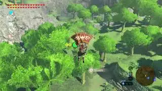 Peque&ntilde;o fallo en wind bomb Zelda BOTW.