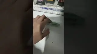 I won the trend #kidding#donttakeitserious
