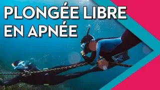 [Portrait] - La plongée libre en apnée avec Cédric