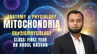 Mitochondria in Physiology: Structure, Functions, Energy Production and Clinical Significance