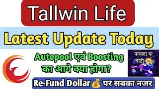 Tallwin Life Autopool New Update Today | Tallwin में Refund या Reward कब मिलेगा | Tallwin News💥 2024