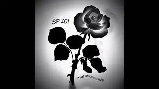 SP ZO! Prod.shvde x slxwly