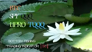 AI Optimized BOTTOM FISHING Trading Indicator S5. #SPY/QQQ/UPRO/TQQQ/#BTC