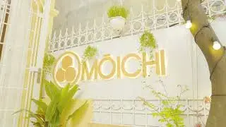 #1 Welcome to Moichi