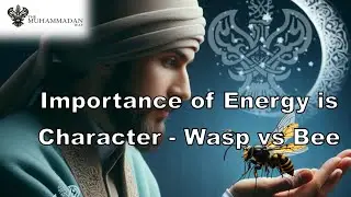 Importance of Energy is Character - Wasp vs Bee Character | Shaykh Nurjan Mirahmadi ق