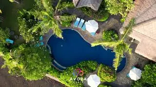 AVORA - Top Retro Music Deep House Exotic 🌴 Vokal Feelings Popular Hits 2025