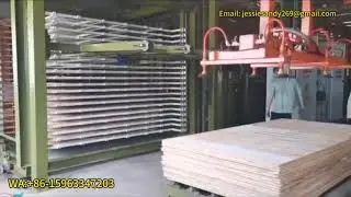 Hot Press Machine with Suction cup automatic plate loading and pushing machine WA:+86-15963347203