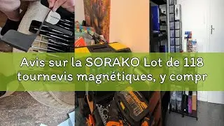 Avis sur la SORAKO Lot de 118 tournevis magn&eacute;tiques, y compris tournevis &agrave; cliquet, embouts, tournev