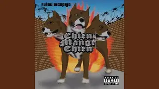 Chien Mangé Chien