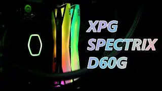 Adata XPG Spectrix D60G 8 GB 3200MHZ RAM | Unboxing & Review | Best Budget RGB RAM - Feast